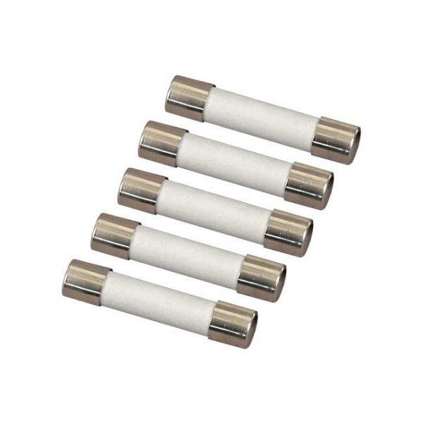 AEMC 2135.81 - Fuse – Set of 5, FF, 0.63A, 250V,1.5kA, 5x20mm for Models 6470-B, 6471 & 6472